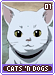 catsndogs01