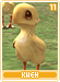 kweh11