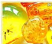 amber04