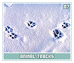 animaltracks07