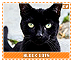 blackcats02