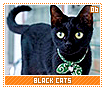 blackcats06