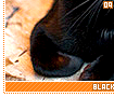 blackcats09