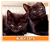 blackcats20