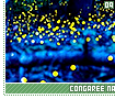 congareenationalpark09