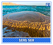 deadsea01