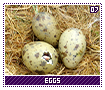 eggs07