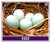 eggs19