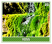 moss20