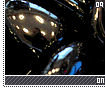onyx09