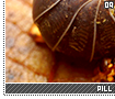 pillbugs09