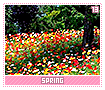 spring13
