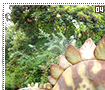 stegosaurus04