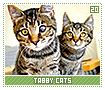 tabbycats20
