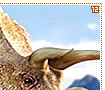triceratops12