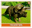 triceratops14