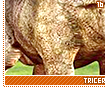 triceratops16