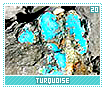 turquoise20