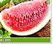 watermelons10