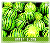 watermelons15