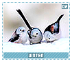 winter02