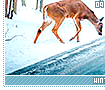 winter09